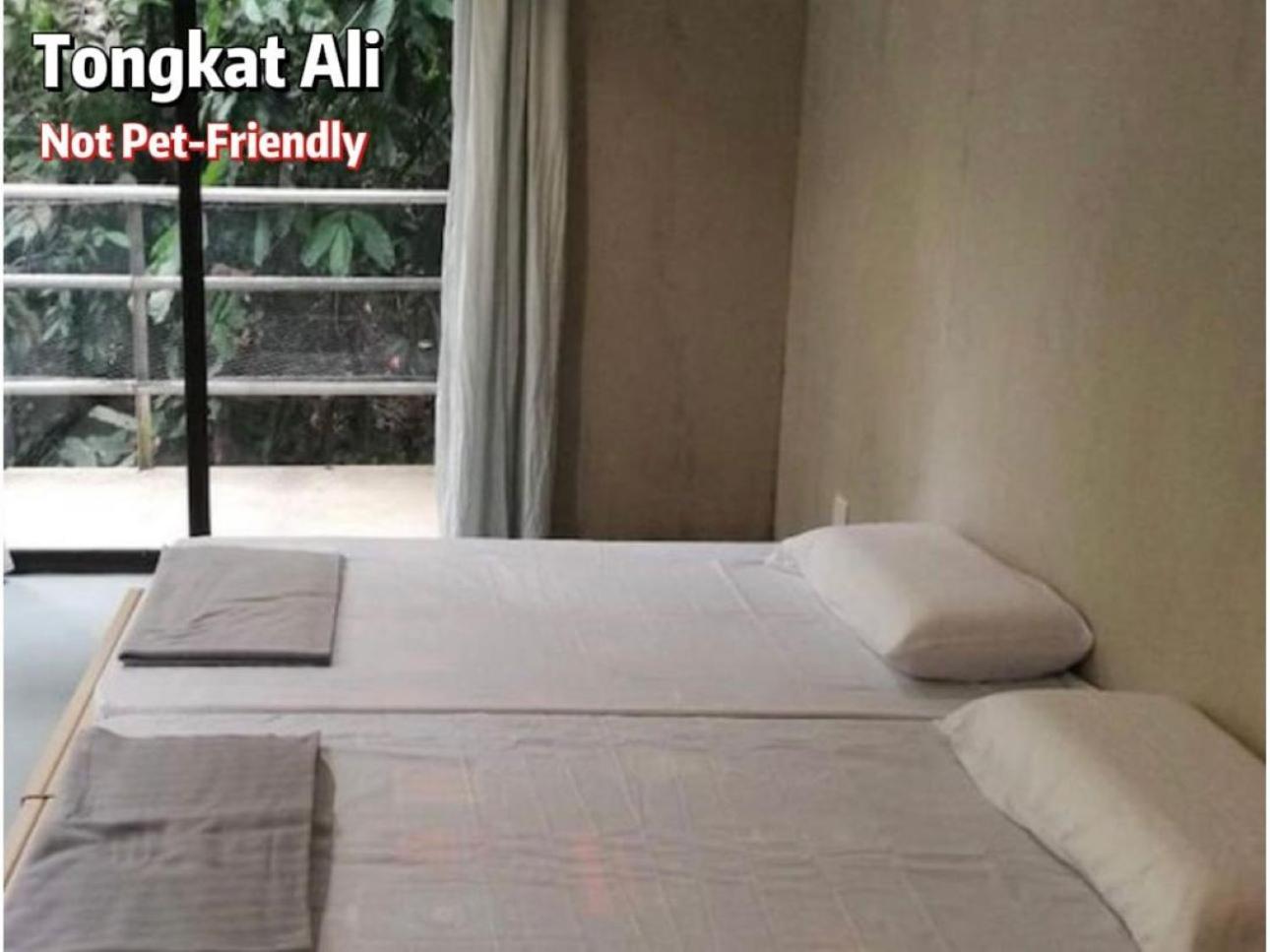 Hotel Gibbon Retreat Bentong Zewnętrze zdjęcie