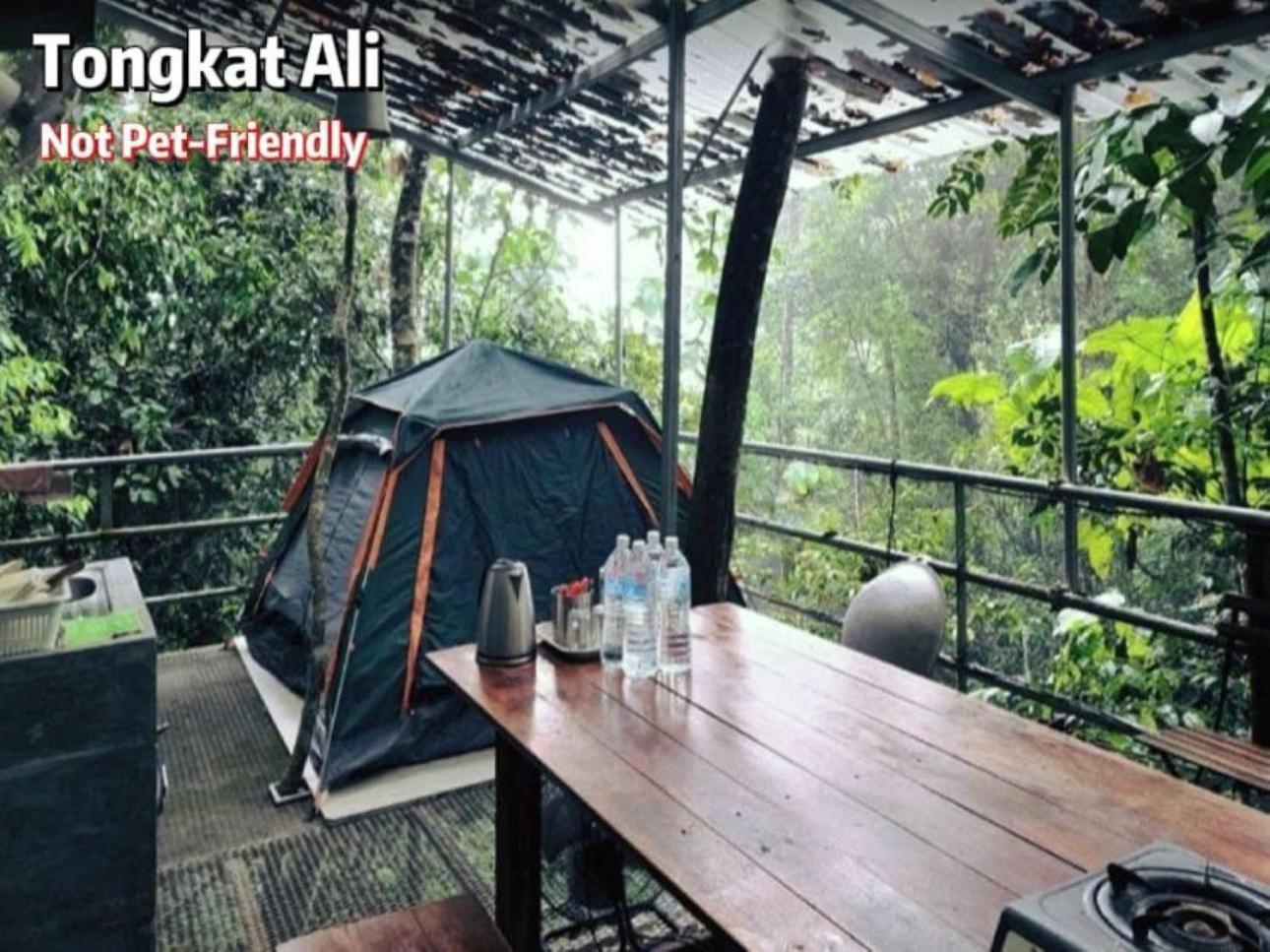 Hotel Gibbon Retreat Bentong Zewnętrze zdjęcie