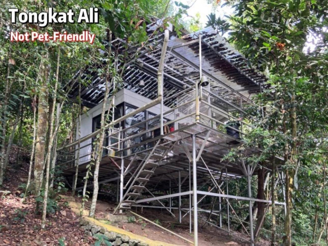Hotel Gibbon Retreat Bentong Zewnętrze zdjęcie