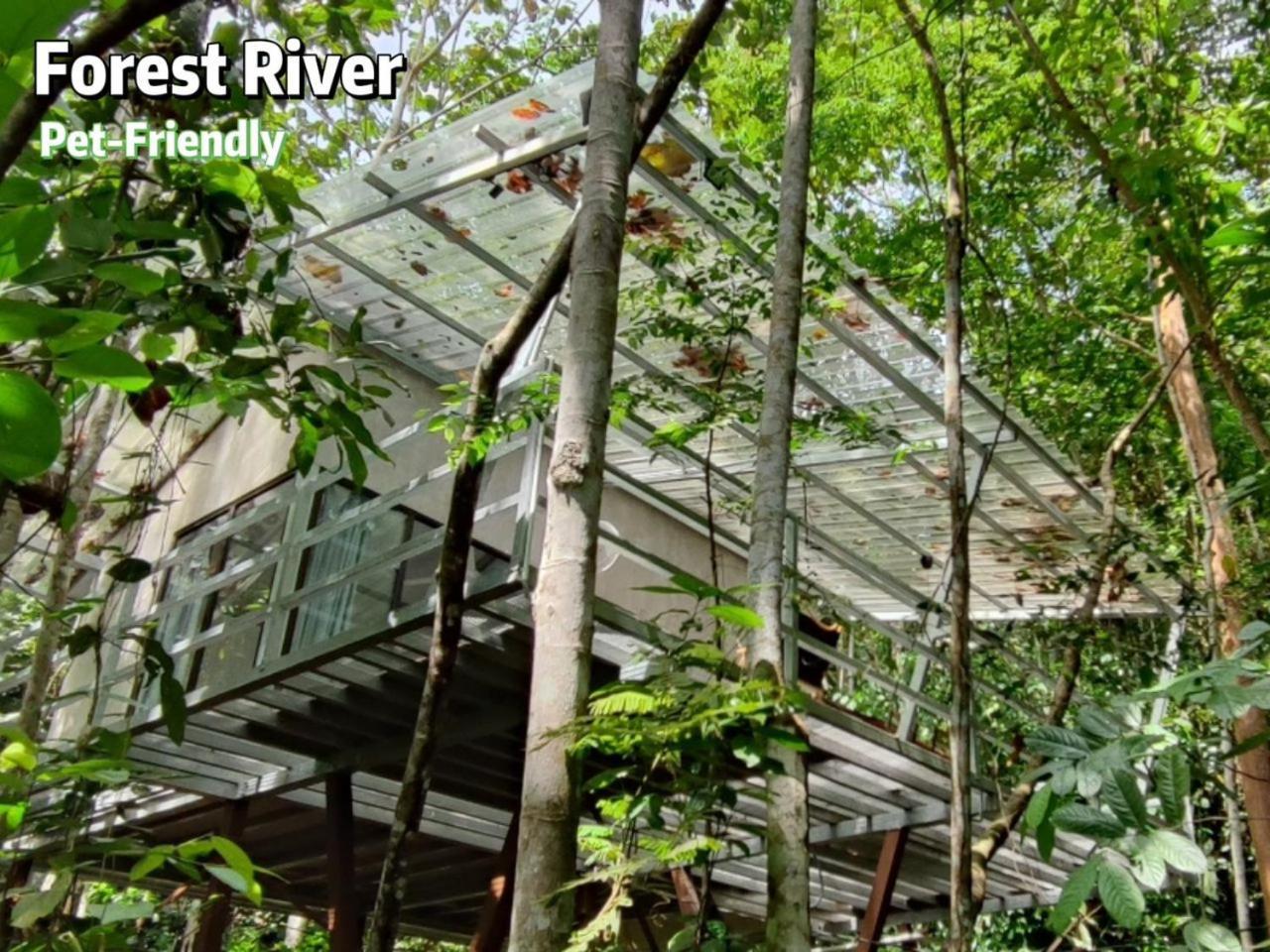 Hotel Gibbon Retreat Bentong Zewnętrze zdjęcie